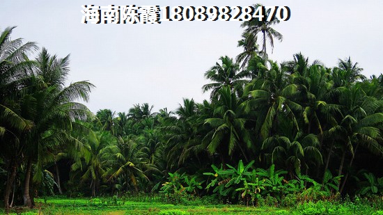 资阳房价大涨（四川2023年醉新房价走势）